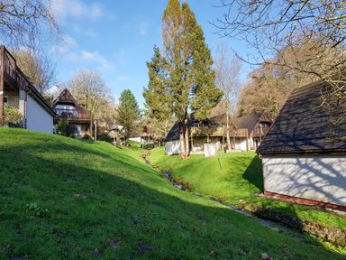 A small stream running through a grassy area with houses and trees at No 51 Valley Lodges in Honicombe Manor near Gunnislake