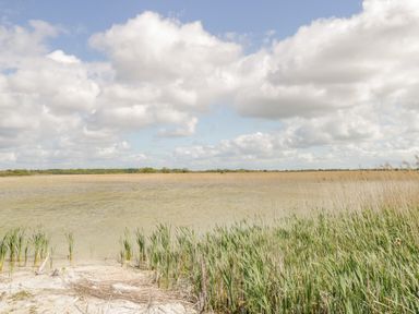 A wetland area with water and tall reeds under a cloudy sky at Cartron Cottage in Ballintubber County Mayo