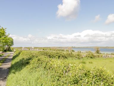 A rural road beside green hedges and grass with a body of water and a small stone structure in the distance at Cartron Cottage in Ballintubber County Mayo