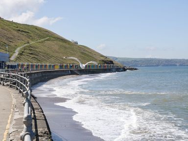A coastal walkway with a seagull flying over the beach and colorful beach huts along the hill at Stoker's Rest in Whitby