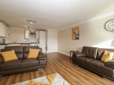 An open living area with two brown sofas with yellow cushions wooden flooring kitchen cabinets and appliances Townbridge Apartment Weymouth