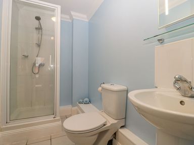 A bathroom with a shower enclosure toilet and sink at Townbridge Apartment in Weymouth