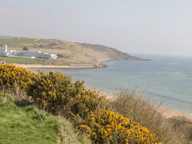 A coastal landscape with yellow flowering bushes a sandy beach and a building on a grassy hill at Townbridge Apartment in Weymouth