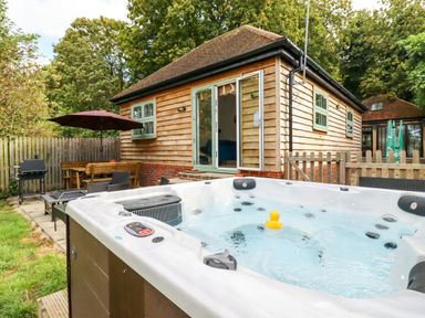 An outdoor area with a hot tub a wooden house with open doors a picnic table with umbrella and a barbecue grill at Dreamwood Lodge in Keston near Leaves Green