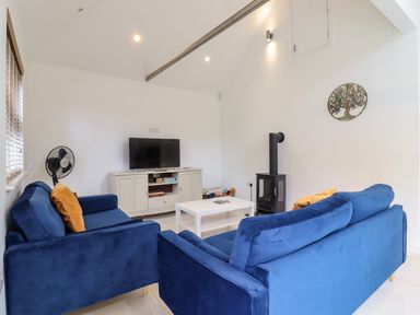 A living room with two blue sofas a white coffee table a TV on a white cabinet a black stove and a wall decoration at Dreamwood Lodge in Keston near Leaves Green