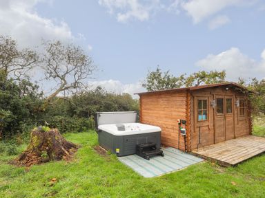 A garden with a wooden cabin and a hot tub next to a tree stump with plants at The Hideaway Pod in Rhoslan near Criccieth