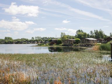 A lakeside view with waterside lodges and vegetation at Parkers Place in Carnforth