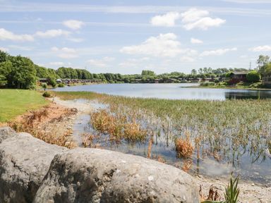A lake with reeds along the shore and houses surrounded by trees at Parkers Place in Carnforth
