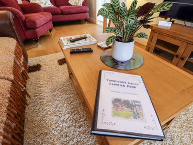 A living room with a wooden coffee table plant magazines and remotes near red sofas at Tanqueray Lodge Kenwick near Louth