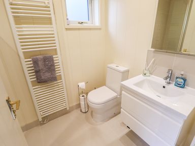 A bathroom with a toilet a towel radiator a sink with soap and a mirror at Tanqueray Lodge Kenwick near Louth