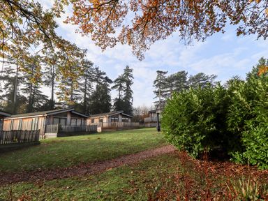 Wooden lodges on a grassy hill with trees and bushes at Tanqueray Lodge in Kenwick near Louth
