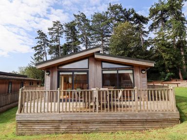 A wooden cabin with a deck and outdoor table and chairs surrounded by trees at Tanqueray Lodge Kenwick near Louth