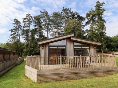 A wooden cabin with large windows and a deck surrounded by trees at Tanqueray Lodge in Kenwick near Louth