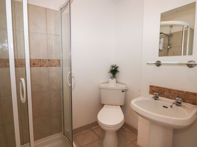 A bathroom with a shower enclosure toilet with a roll of toilet paper and a plant on top and a sink with a mirror and glass shelf above at Apartment at Morningside Hotel in Torquay