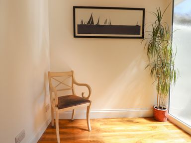 A wooden chair with a dark cushion next to a tall potted plant and a framed picture of sailboats on the wall at Apartment at Morningside Hotel in Torquay