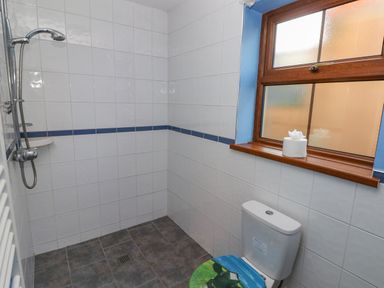 A bathroom with a tiled shower area a toilet with a printed seat cover and a window with a wooden frame at Pant Teg Farm in Carmarthen