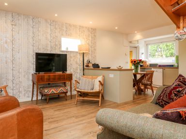 A living room with a television on a wooden stand a chair a sofa with cushions and a dining area with a table and chairs at Barleside in Dulverton