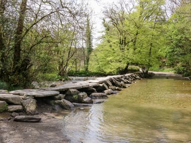 A shallow river with stepping stones forming a crossing surrounded by trees at Barleside in Dulverton