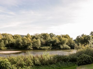 A river with trees and bushes along the bank at Steel Works Farm in Gorsley
