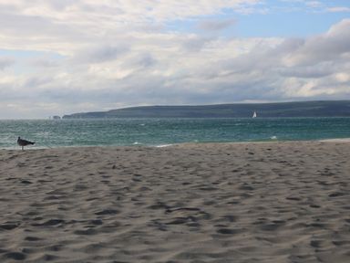 A sandy beach with a seagull on the left and a sailboat on the water with hills in the background at The Cottage in Wimborne Minster