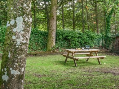 A picnic table with glasses and grapes in a garden at The Cottage in Wimborne Minster