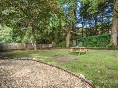 A garden with a picnic bench and trees at The Cottage in Wimborne Minster