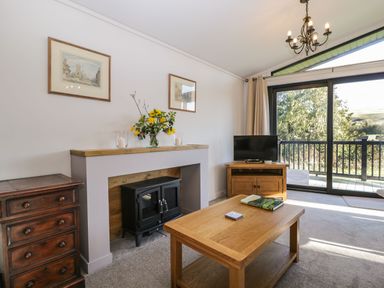 A living room with a wooden coffee table a fireplace a television on a cabinet and sliding glass doors at Manor Farm Lodge in Bowerchalke