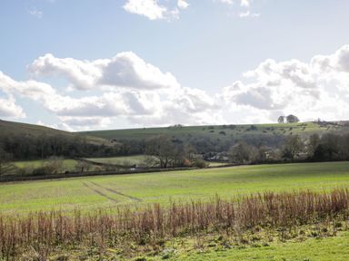 A countryside scene with green fields, scattered trees, and clouds in the sky at Manor Farm Lodge in Bowerchalke
