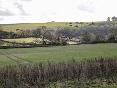 A rural landscape with fields trees and a small building at Manor Farm Lodge in Bowerchalke