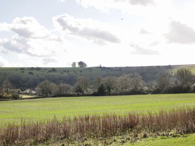 A green field with dry plants in the foreground and trees in the distance under a cloudy sky at Manor Farm Lodge in Bowerchalke