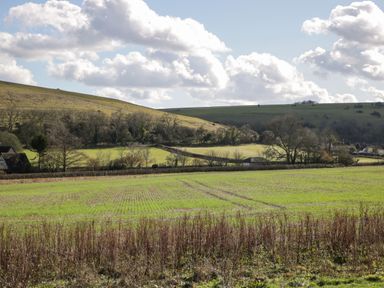 A grassy field with a hedge and trees and hills in the background at Manor Farm Lodge in Bowerchalke