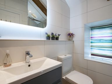 A bathroom with a sink, a toilet, potted plants on a ledge, and a window with a colorful striped blind at The Snug in St Minver