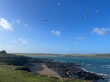 A coastal landscape with a rocky shore a sandy beach green fields and seagulls flying in the sky at The Snug in St Minver