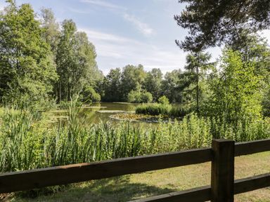 A pond surrounded by trees and plants with a wooden fence in the foreground at Lake View Lodge in Wykeham near East Ayton