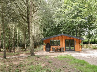 A wooden cabin with outdoor furniture surrounded by trees and a wooden fence at Lake View Lodge in Wykeham near East Ayton