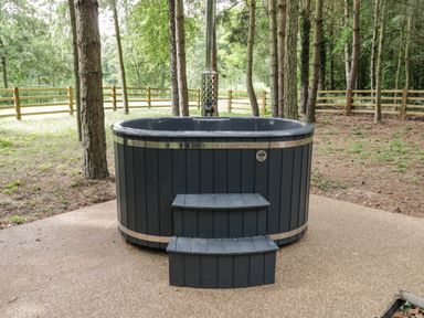An outdoor hot tub with steps on a paved area surrounded by trees and wooden fence at Lake View Lodge in Wykeham near East Ayton