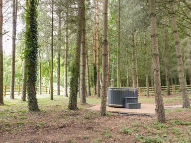 A wooded area with tall trees and a hot tub on a platform surrounded by a wooden fence at Lake View Lodge in Wykeham near East Ayton
