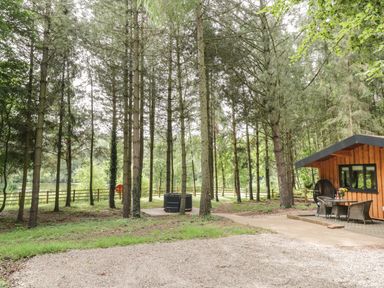 An outdoor area with tall trees a wooden cabin with a table and chairs and a hot tub in the woods at Lake View Lodge Wykeham near East Ayton