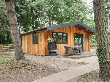 A wooden cabin with patio furniture and hanging plants surrounded by trees at Lake View Lodge Wykeham near East Ayton