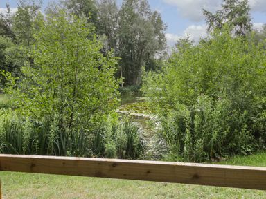A pond with water lilies surrounded by green bushes and trees with a wooden railing in the foreground at Lake View Lodge in Wykeham near East Ayton