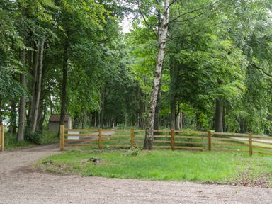 A pathway leading through a wooden gate into a wooded area with green grass and trees at Lake View Lodge in Wykeham near East Ayton