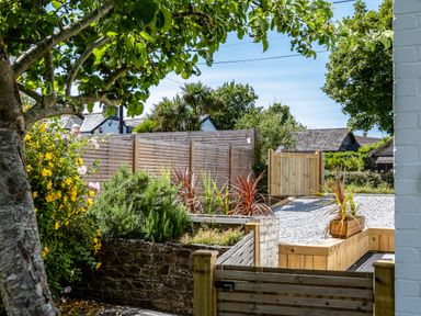 A garden with trees plants and wooden fencing at West Cottage in Rock