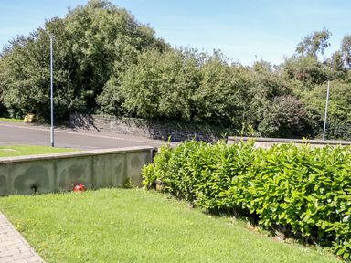 A garden area with a hedge and stone wall near a road with street lamps and trees at 4 The Cloisters in Bushmills County Antrim