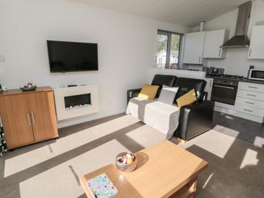 A living room with a black leather sofa with cushions a wooden coffee table and a wall mounted television at Pinecone Lodge - No 9 Felmoor Park near Felton