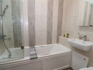 A bathroom with a bathtub shower combination a sink and decorative plants on the tub edge at Burnt Oak Stables in Mynydd Isa