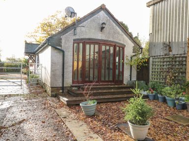 A small building with large wooden framed glass doors and steps lined with multiple potted plants at Burnt Oak Stables in Mynydd Isa