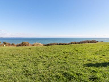 A grassy field with bushes and the sea in the background at Sea View in Mevagissey