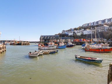 A harbor with multiple boats and houses on a hillside at Sea View Mevagissey