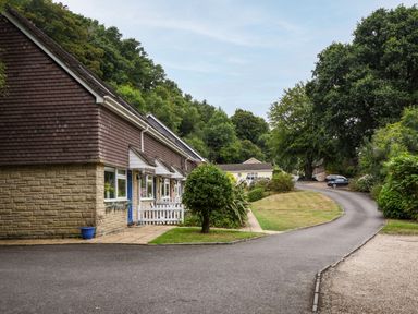 A row of houses with small white fences along a curved paved road surrounded by grass and trees at 52 Fernhill Heights in Charmouth