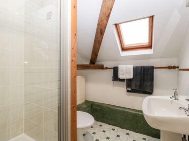 A bathroom with a shower cubicle toilet sink and skylight window at Bullfinch Cottage in Kingsland